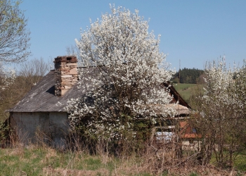 Jimramovské Pavlovice - okolí