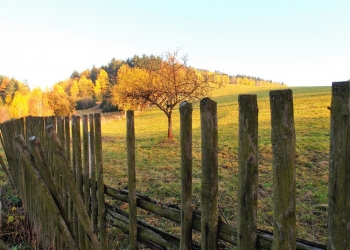 Jimramovské Pavlovice - okolí