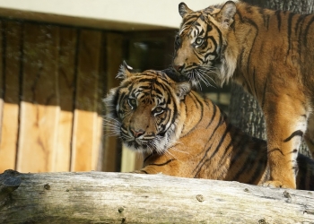 ZOO Jihlava