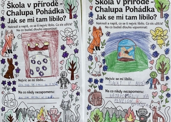 Školy v přírodě, adaptační kurzy