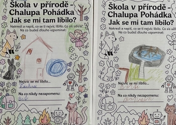 Školy v přírodě, adaptační kurzy